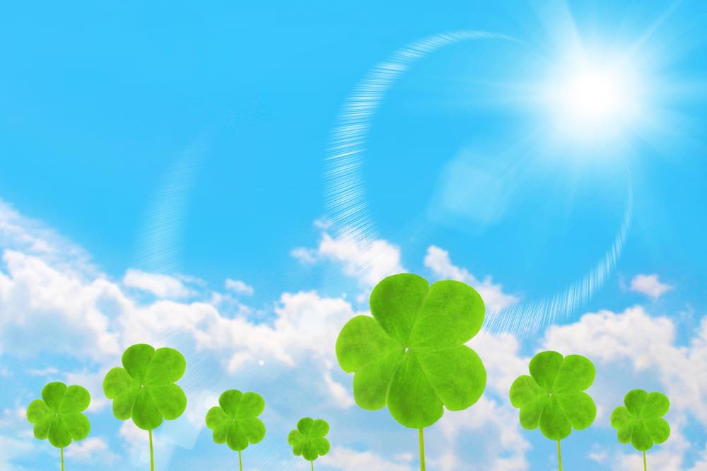 長いお付き合い